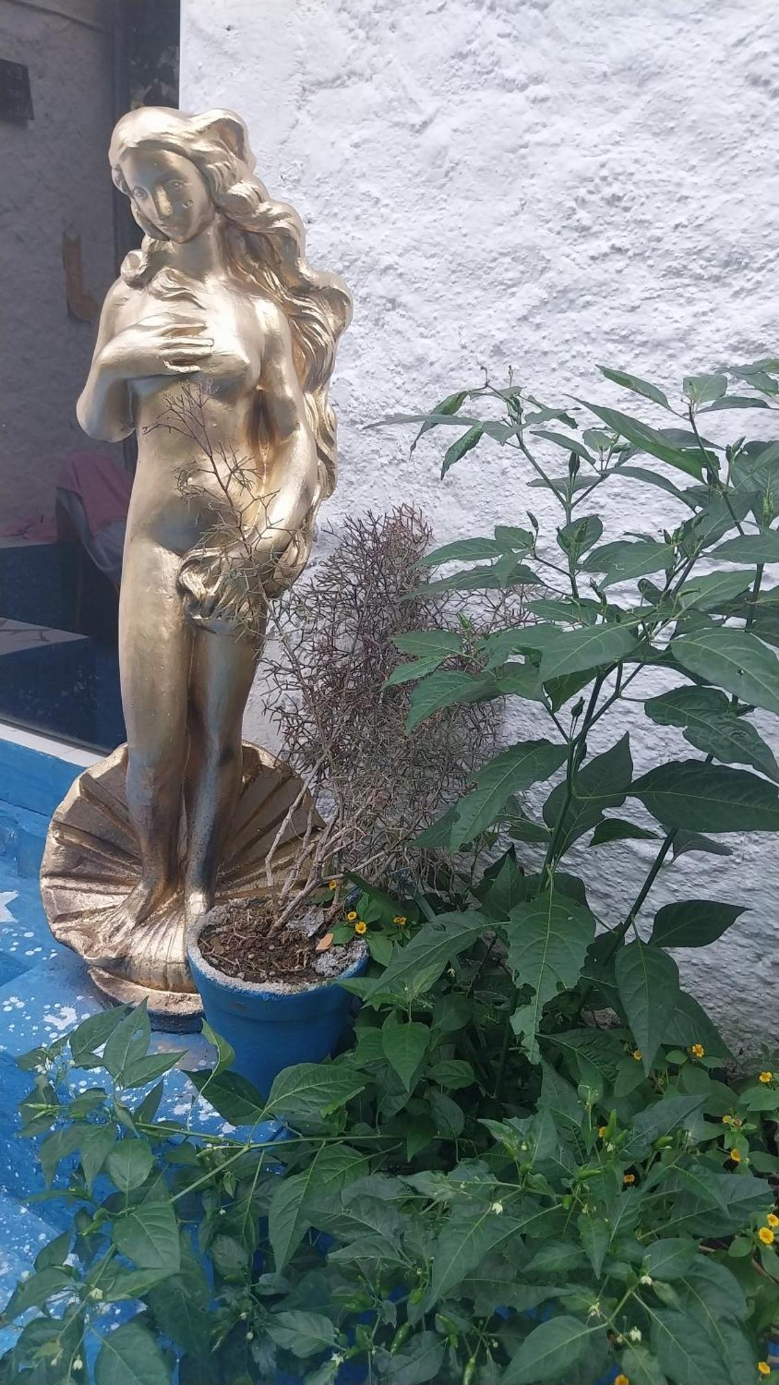 Pousada Das Estrelas No Centro De Conservatória エクステリア 写真
